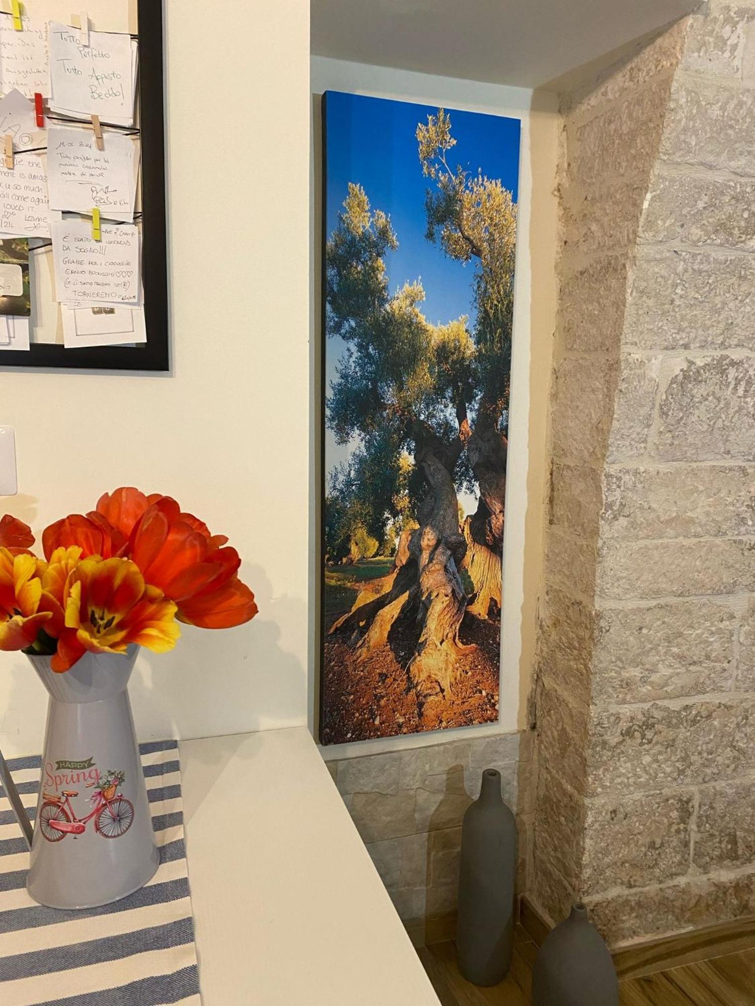 Ca De Mess Bed & Breakfast Giovinazzo Exterior photo
